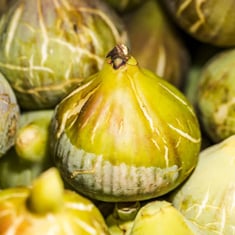 ingredients in Bellyflush 